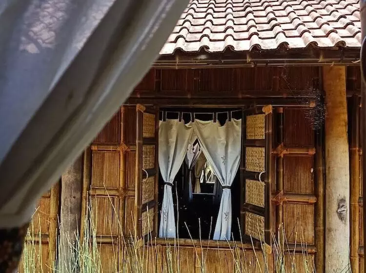 ペンション Pondok Bamboo Sendangsari