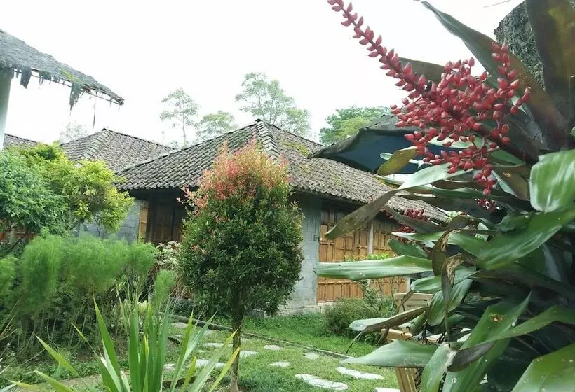 ペンション Pondok Bamboo Sendangsari