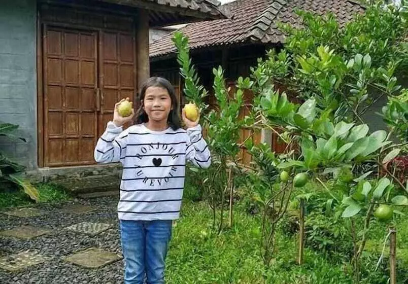 ペンション Pondok Bamboo Sendangsari