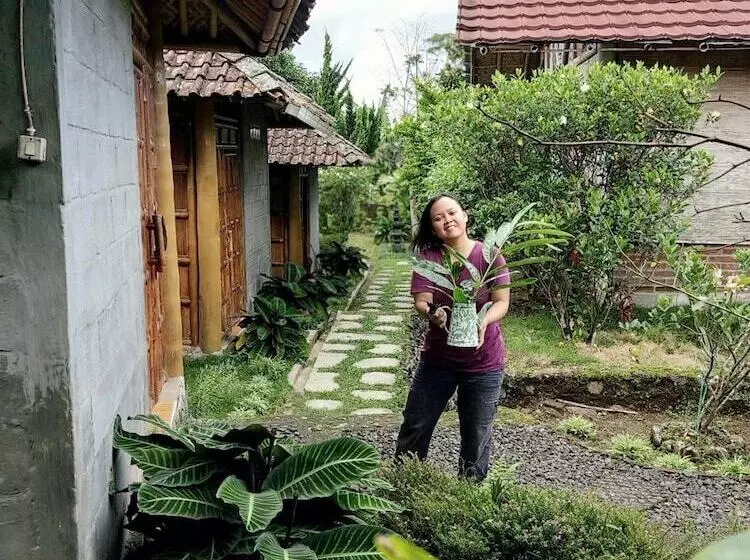 ペンション Pondok Bamboo Sendangsari