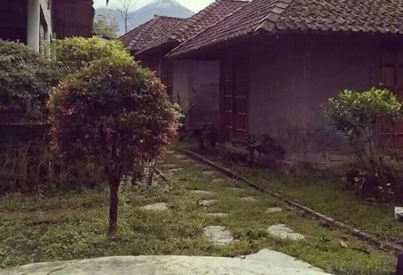 ペンション Pondok Bamboo Sendangsari