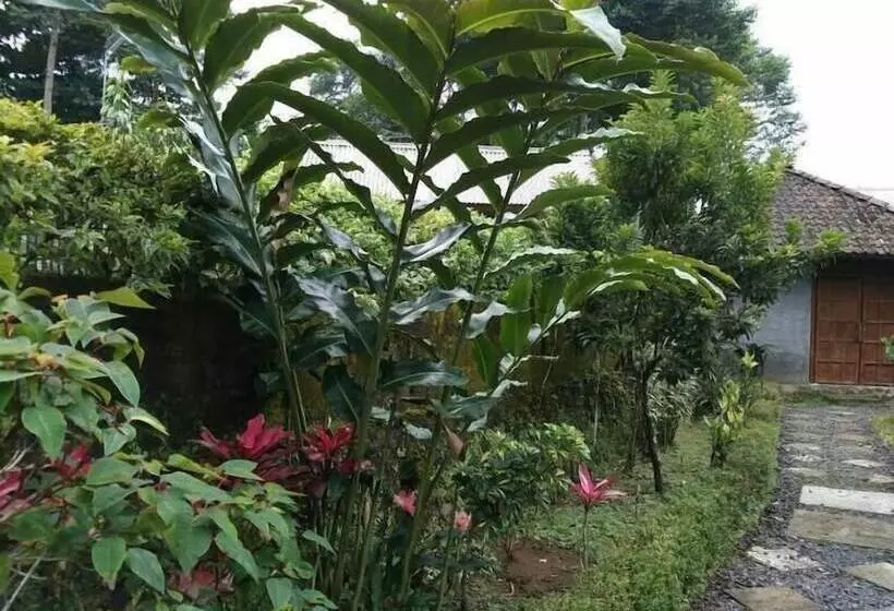 ペンション Pondok Bamboo Sendangsari