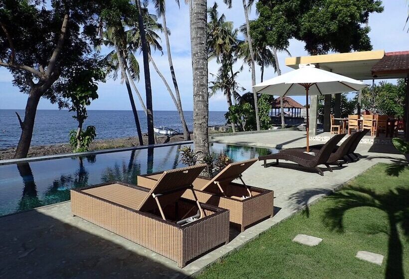 Bali Apnea Club   Hostel