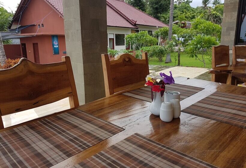 Bali Apnea Club   Hostel