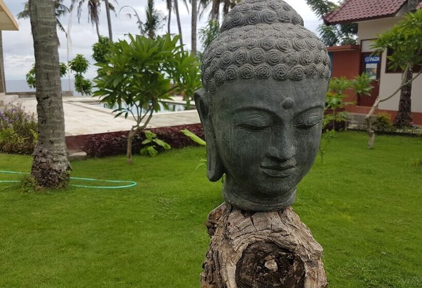 Bali Apnea Club   Hostel