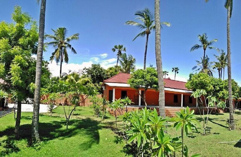 Bali Apnea Club   Hostel