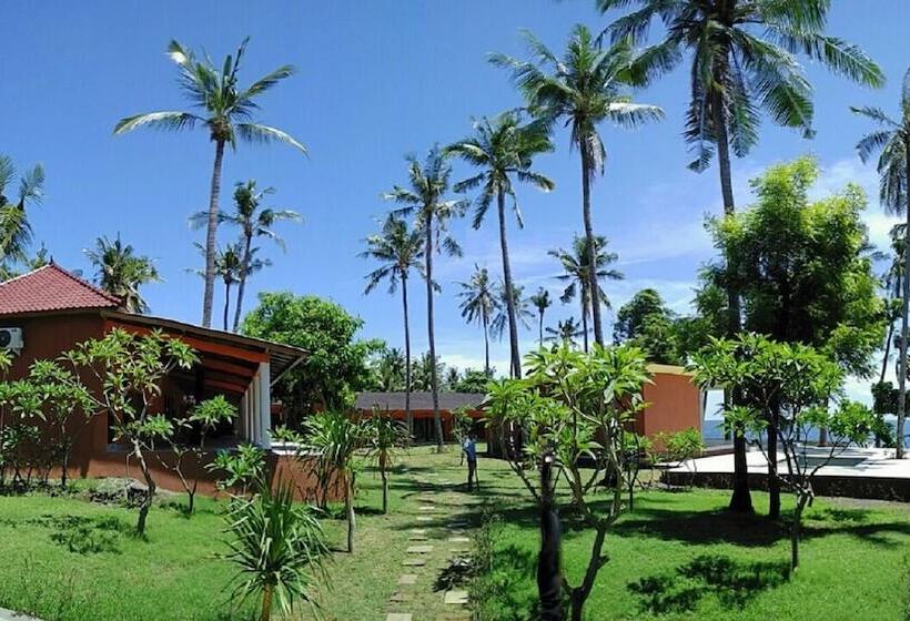 Bali Apnea Club   Hostel