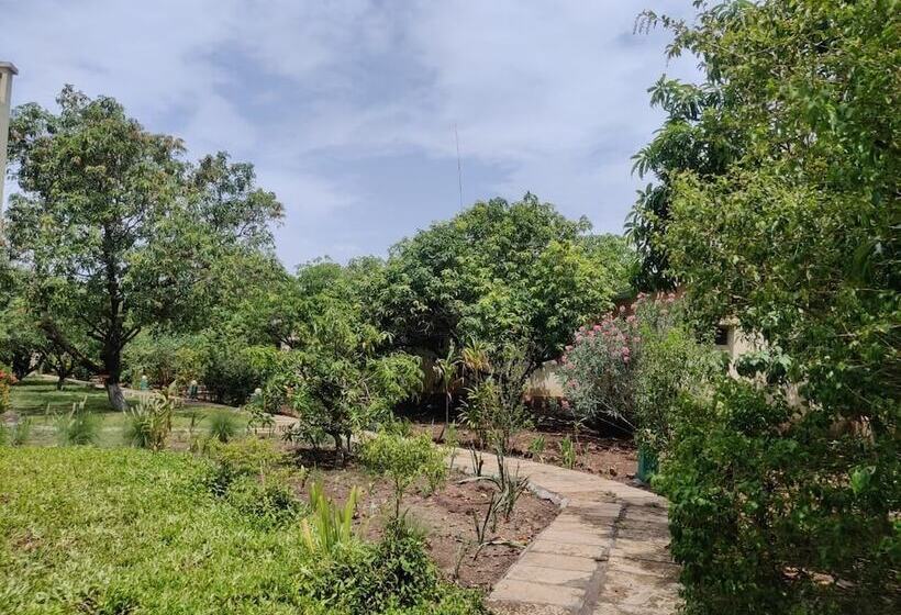 Hôtel Gir Birding Lodge