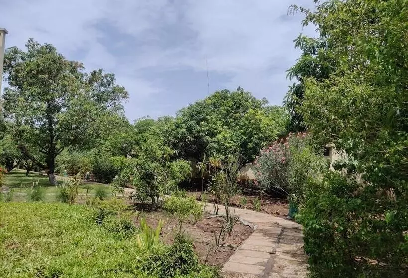 ホテル Gir Birding Lodge