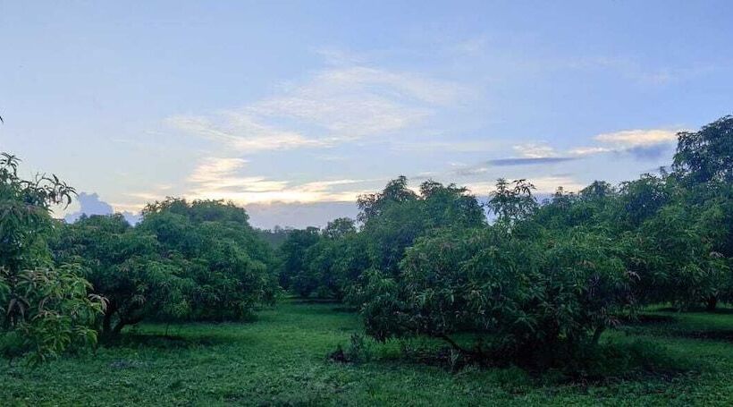 Hôtel Gir Birding Lodge