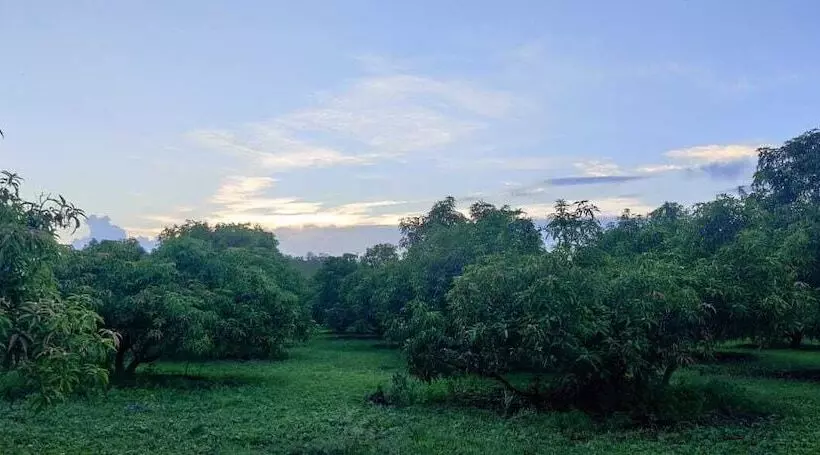 ホテル Gir Birding Lodge
