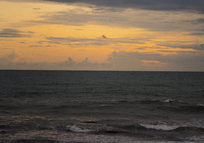 호텔 Shore Amora Canggu