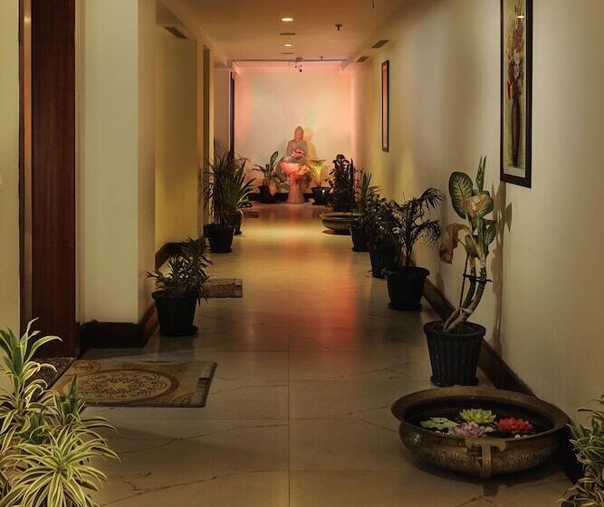 Отель The Roman Park