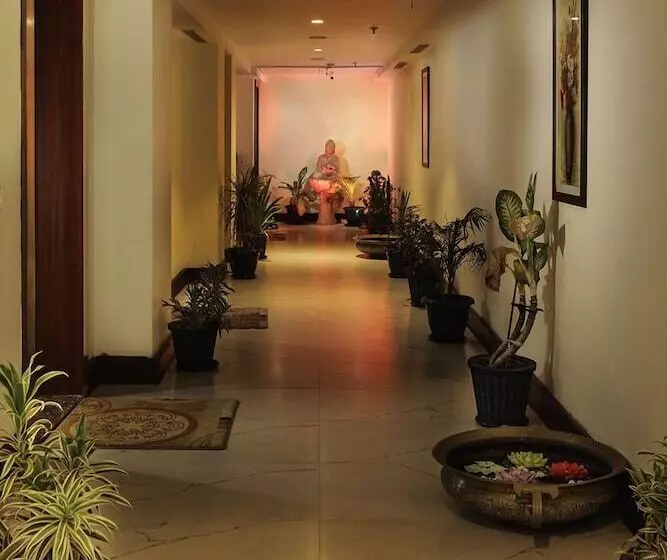 ホテル The Roman Park