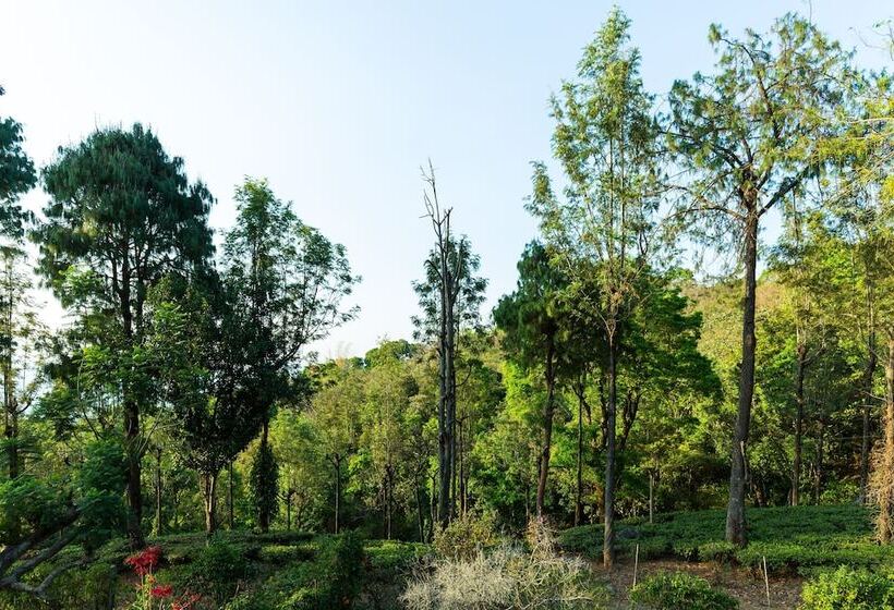 Hotel The Xanadu Frog Hill