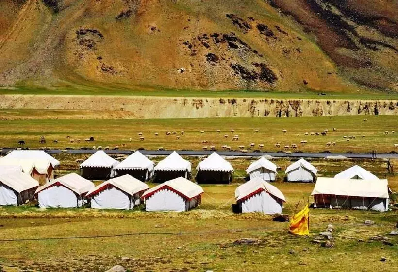 Hotelli Marmote Camps   Sarchu