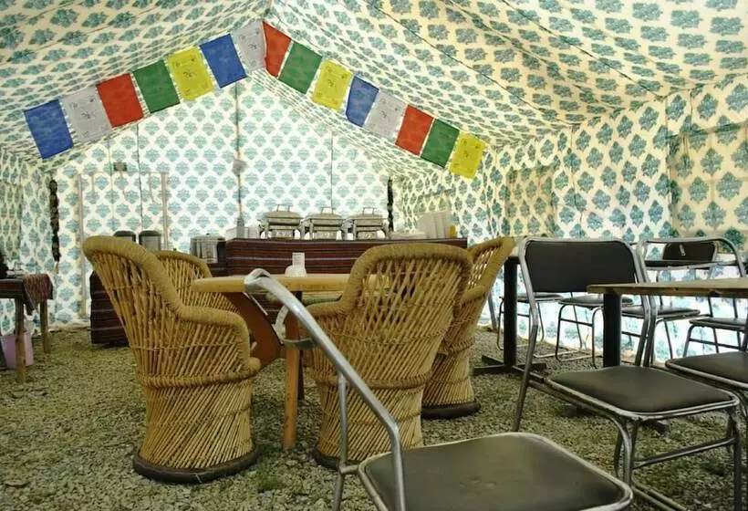 Hotelli Marmote Camps   Sarchu