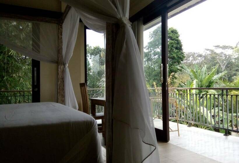 Pension Manada Guesthouse