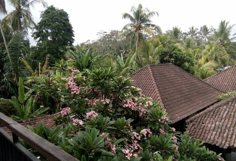 Pension Manada Guesthouse