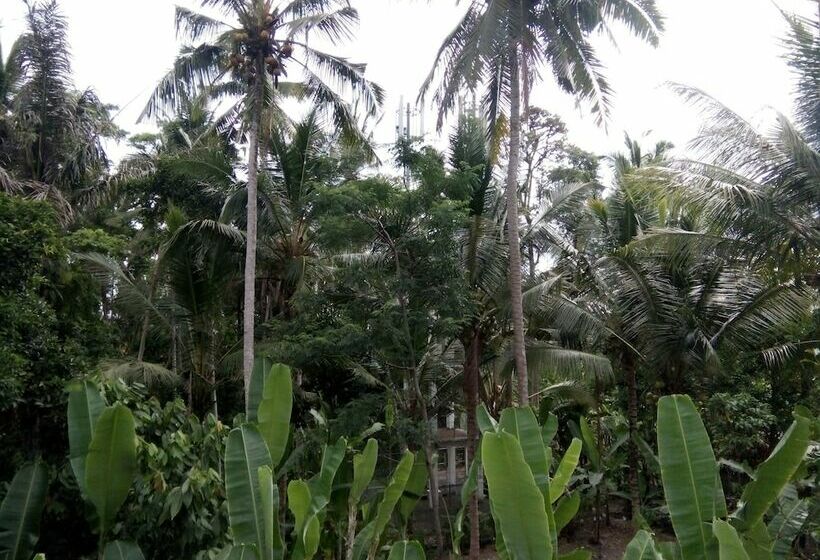 Pension Manada Guesthouse