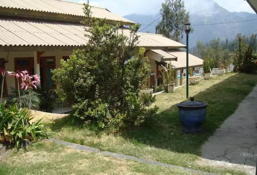 Pensió Uciek Tengger Bromo