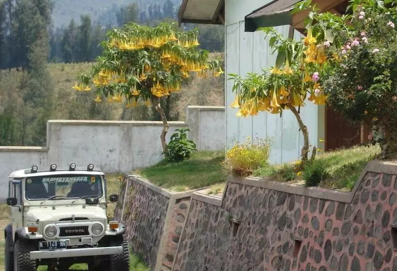 Pensió Uciek Tengger Bromo