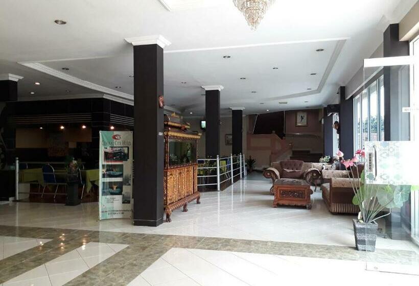 בית מלון כפרי Central City