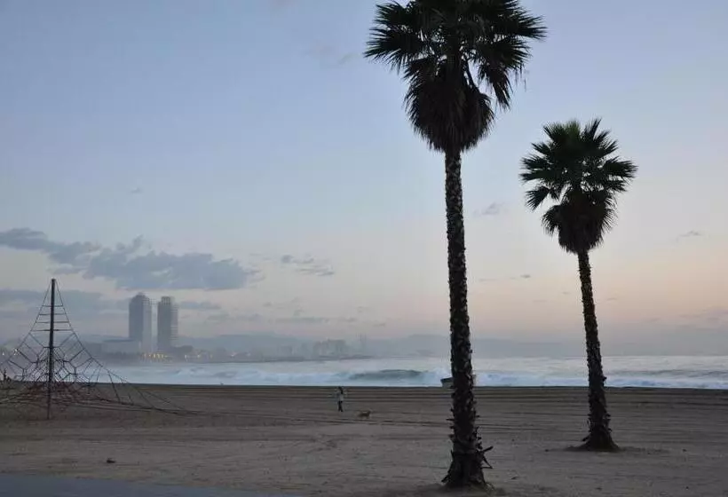 Отель Evenia Rocafort