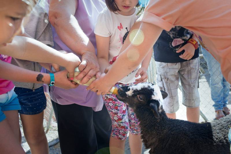 فندق ريفى Vilar Rural De Cardona