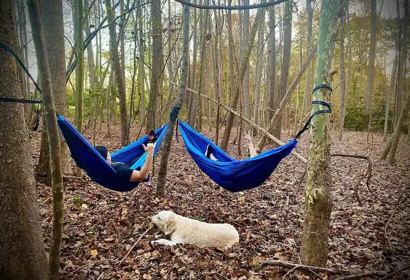 Aamiaismajoitus (B&B) Vaiden Inn