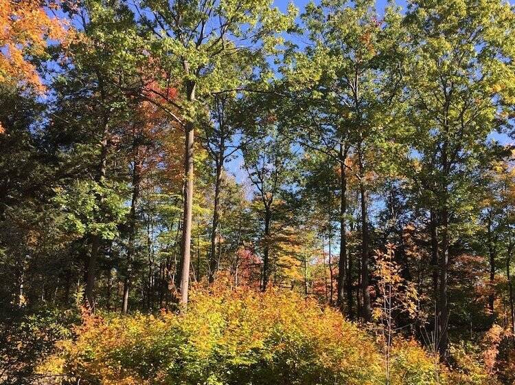 Filigree Inn Bed & Breakfast