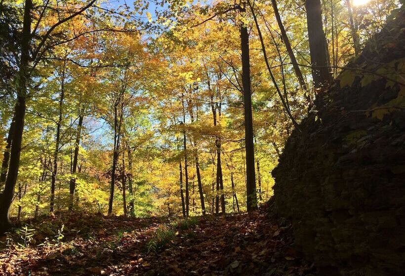 Filigree Inn Bed & Breakfast