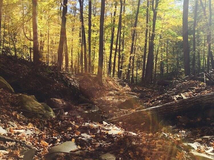 Filigree Inn Bed & Breakfast