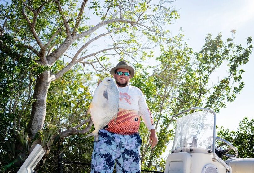 בית מלון כפרי Chokoloskee Island Park And Marina