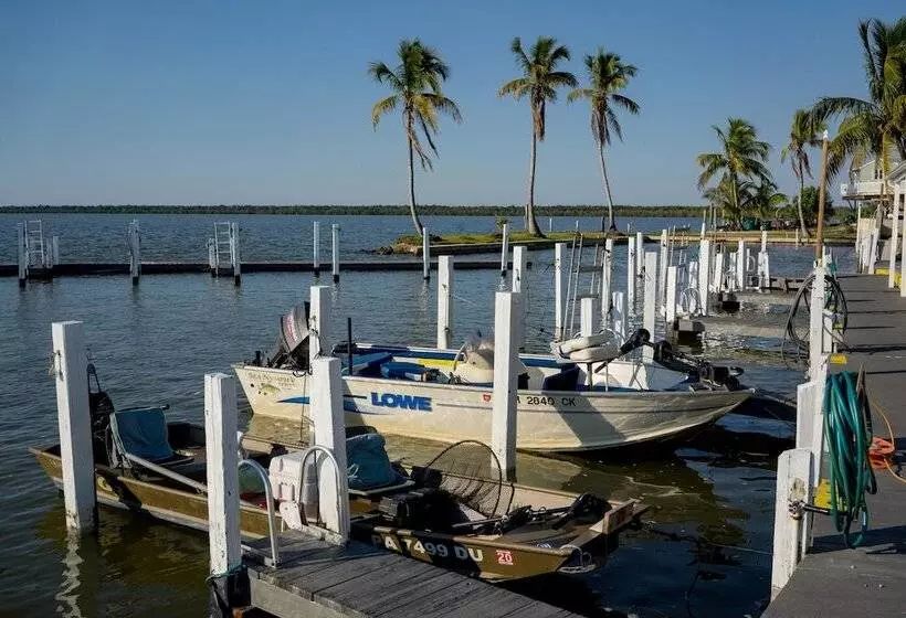 ホテル Chokoloskee Island Park And Marina