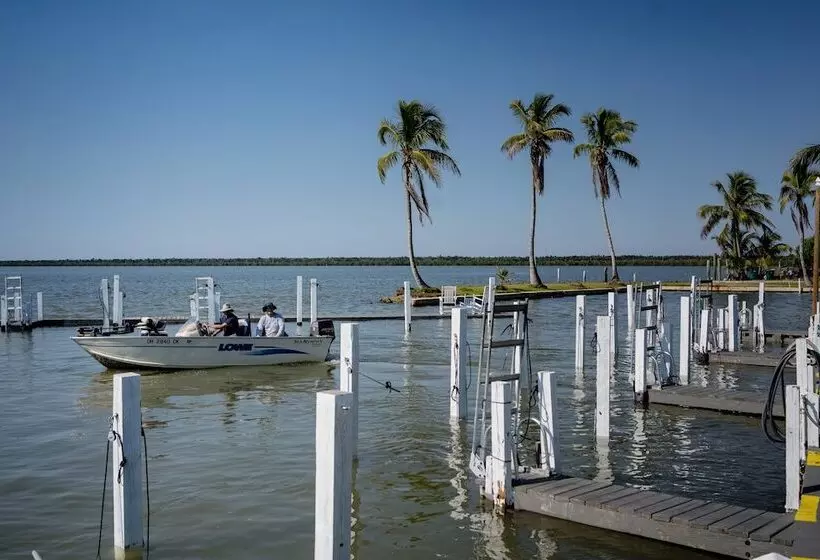 ホテル Chokoloskee Island Park And Marina