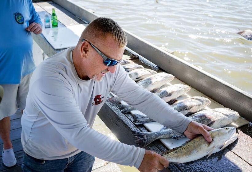 בית מלון כפרי Chokoloskee Island Park And Marina