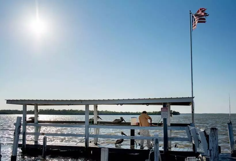 ホテル Chokoloskee Island Park And Marina