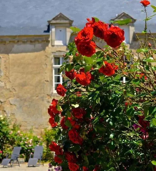 ベッドアンドブレックファースト Chambres D'hôtes Château De Bonabry