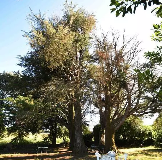 As Casas Ribeira Sacra