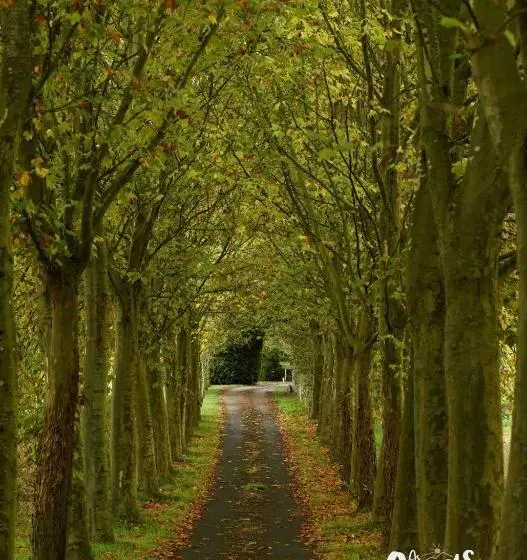 As Casas Ribeira Sacra
