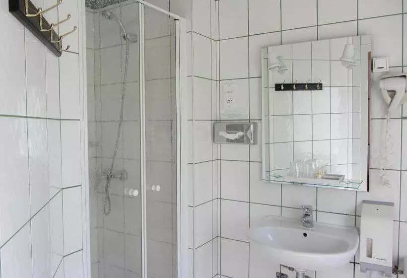 هتل Auberge Des Skieurs