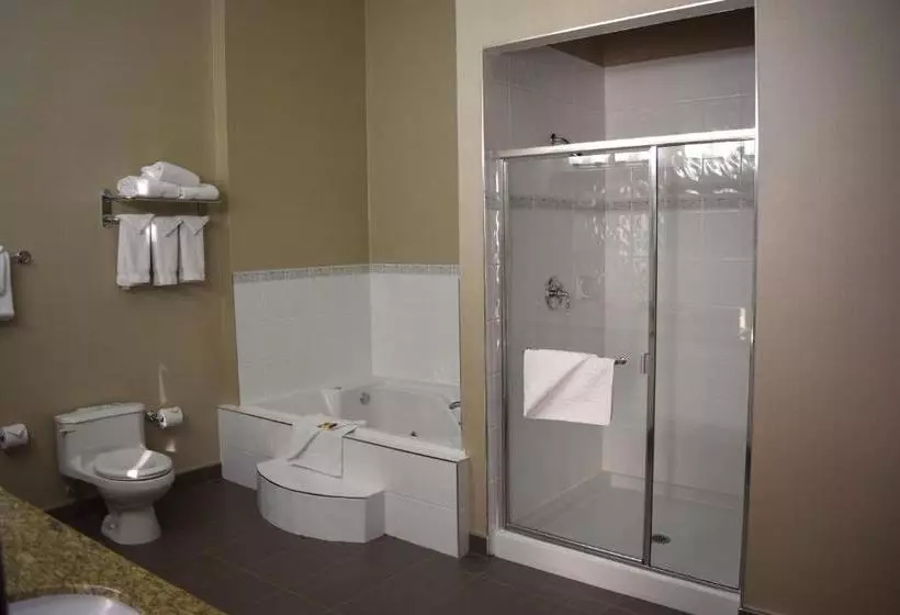 ホテル Best Western Plus Uptown