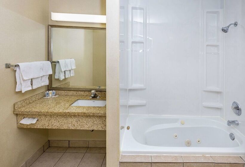 فندق Comfort Inn & Suites