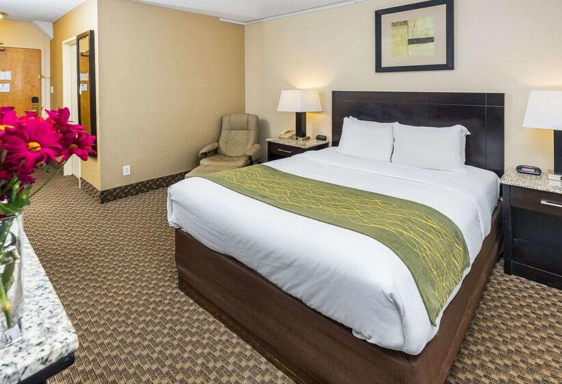 فندق Comfort Inn & Suites