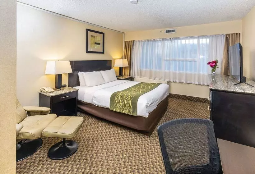 בית מלון כפרי Comfort Inn & Suites