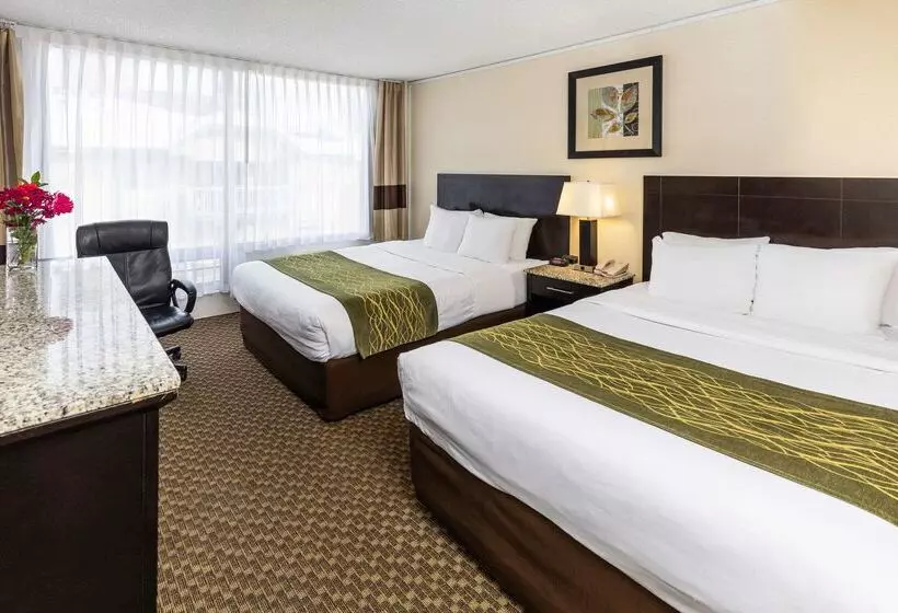 בית מלון כפרי Comfort Inn & Suites