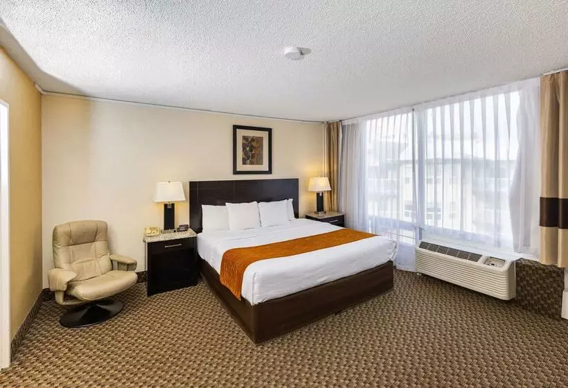 בית מלון כפרי Comfort Inn & Suites