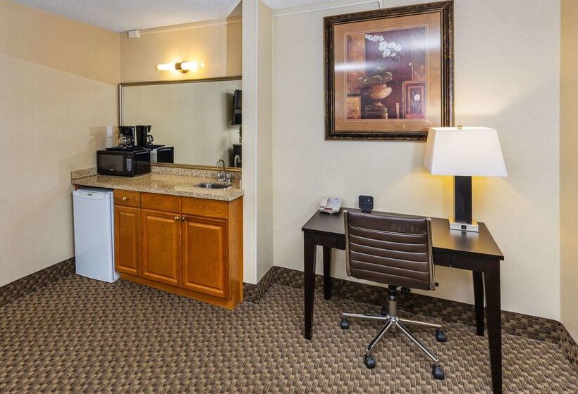 فندق Comfort Inn & Suites