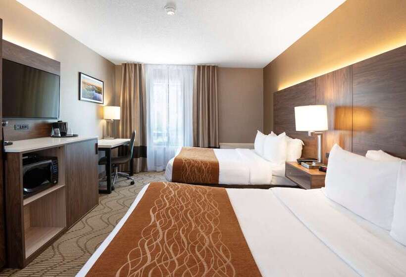 هتل Comfort Inn Lakeshore
